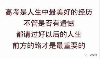 吃瓜群众在七零语录,吃瓜群众的智慧与幽默