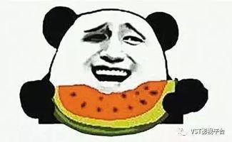 玩梗大乱斗吃瓜群众,吃瓜群众围观网络狂欢盛宴