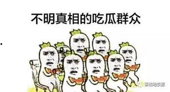 吃瓜群众说点啥,揭秘网络热点背后的真相与观点