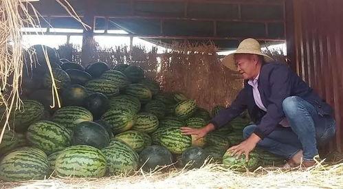 佐手剪辑吃瓜群众,揭秘吃瓜群众的幕后故事