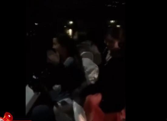 吃瓜群众看狗咬狗视频,吃瓜群众围观的真实一幕