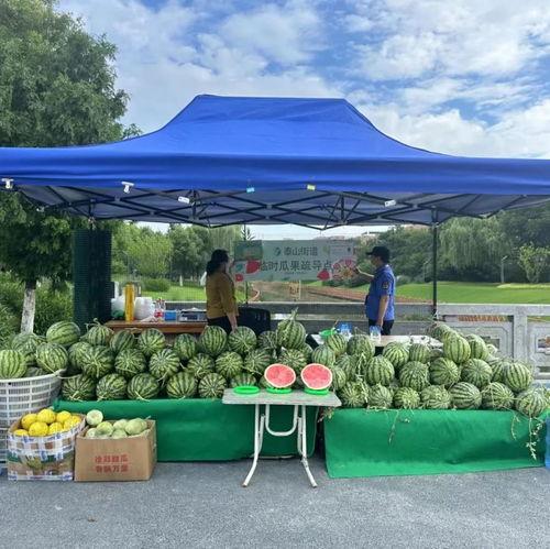 吃瓜群众周女士,吃瓜群众周女士的趣味生活点滴