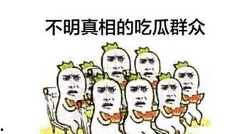 加入吃瓜群众怎么说,吃瓜群众视角下的社会百态