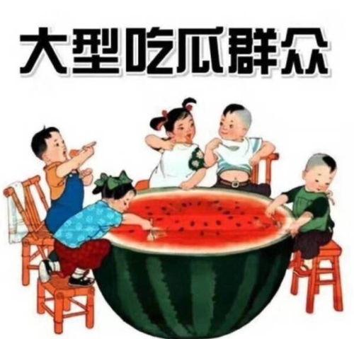 吃瓜群众小红书推文,揭秘热门推文背后的故事