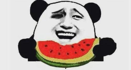 吃瓜群众二哈舔屏视频免费观看,吃瓜群众狂欢时刻！