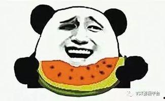 吃瓜群众瓜很甜,揭秘吃瓜群众的甜蜜生活