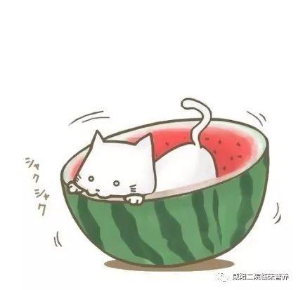 动漫吃瓜群众动画片