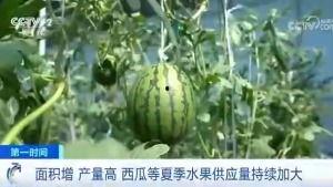 吃瓜群众2021prs,2021年度“吃瓜群众”热点事件回顾