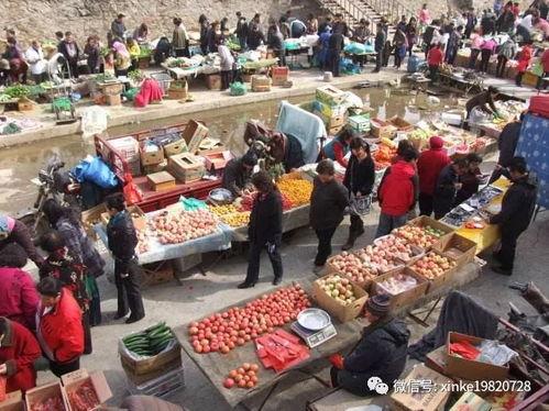 太和吃瓜群众,揭秘网络热议背后的真相与笑料