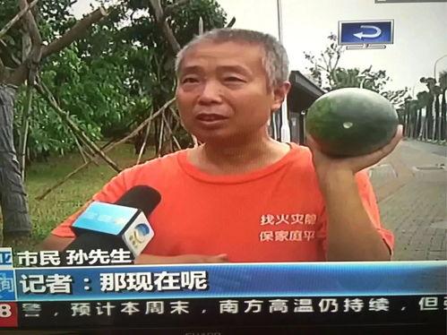 雷州吃瓜群众新闻视频,雷州街头吃瓜群众热议新闻事件