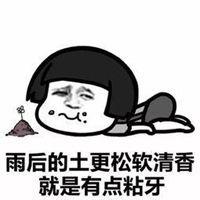 吃瓜群众起床了图片表情,新的一天，新表情