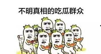 手机吃瓜群众排名,揭秘热门话题背后的热议人群