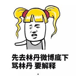 有亮点吃瓜群众怎么说,揭秘“有亮点吃瓜群众”的独特视角