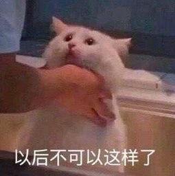 朝阳群众吃瓜图片,揭秘京城街头的热闹一幕