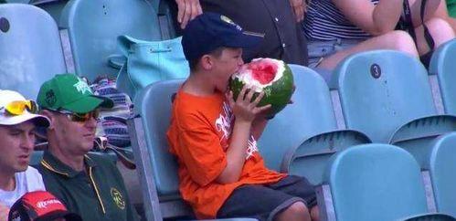 吃瓜群众好像发现什么