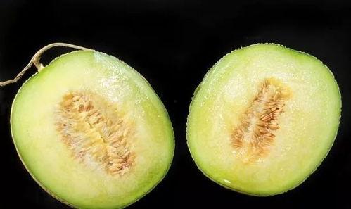 吃瓜群众 网红甜瓜