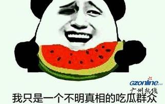 吃瓜群众表示 这个梗,揭秘“吃瓜群众”背后的网络文化现象